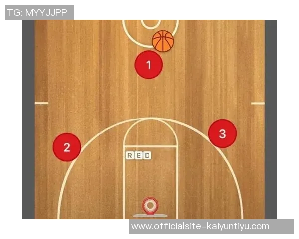 广州排球队反击体系解析与战术运用探讨